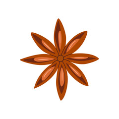 Flat vector illustration of a dry balyan in the shape of a star. Isolated cartoon drawing on a white background.