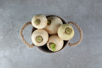 Harvesting fresh white turnips vegetable