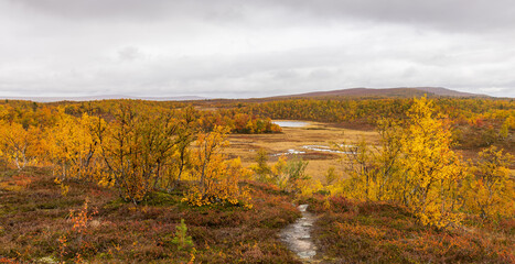 Herbstlandschaft, farbenfroh mit weiter Aussicht, Panorama