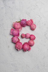 letter G outlined with pink flowers on a white background
