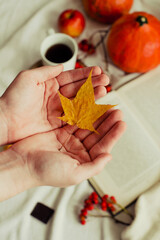 hands with pine yellow maple
leaf on the background of an autumn still life of a cup of tea pumpkins apples and yellow leaves. Autumn mood