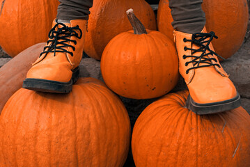
Someone in rubber boots is standing on a ripe orange pumpkin. Cropped view. A beautiful autumn photo.
