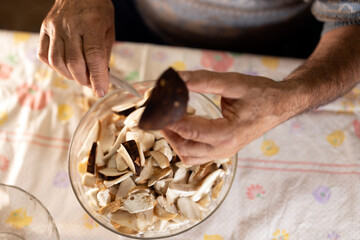Cut with Porcelain Knife Delicious Autumn Porcini Mushrooms by a Senior Man Hands in Domestic Kitchen