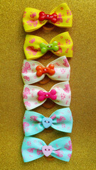 turquoise, beige and yellow bows for top notes of dogs with long hair lie on a golden background.  accessories .  view from above