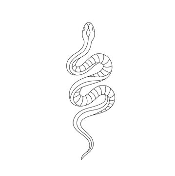 Snake Tattoo" Images – Browse 161 Stock Photos, Vectors, and Video | Adobe  Stock