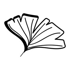 longevity Vector Icon Design, Autumn or Fall activities Symbol, Dry weather Sign, Temperate climates Elements Stock illustration, ginkgo leaves fall Concept