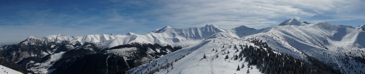 Beautiful winter panoramic view of Tatra National Park    - obrazy, fototapety, plakaty