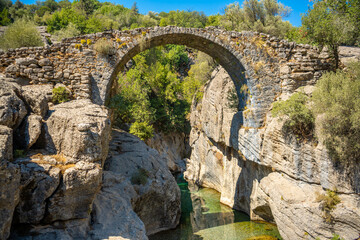 Fototapeta na wymiar Ancient bridge over the Koprucay river gorge in Koprulu national Park in Turkey. Panoramic scenic view of the canyon and blue stormy mountain river