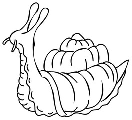 Snail line art illustration, Cartoon animal drawing. PNG, with transparent background.