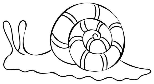 Snail line art illustration, Cartoon animal drawing. PNG, with transparent background.