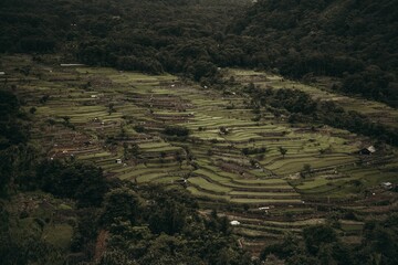 Aerial view of cultivated fields on a gloomy day