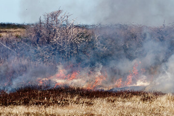 A grass fire, fueled by dry conditions, producing flames, smoke and showing turbulent structures and fluxes associated the intense fire.