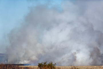 A grass fire, fueled by dry conditions, producing flames, smoke and showing turbulent structures...