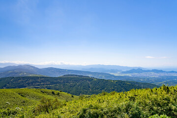 Fototapeta premium 静岡県田方郡函南町 十国峠
