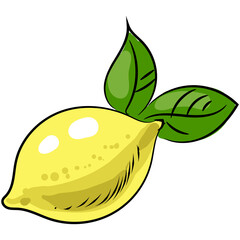 Vector lemon illustration citrus fruit icon isolated