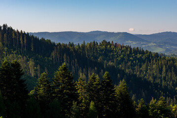 Góry, wzgórza, doliny, łąki i lasy w Beskidzie, krajobraz (4).