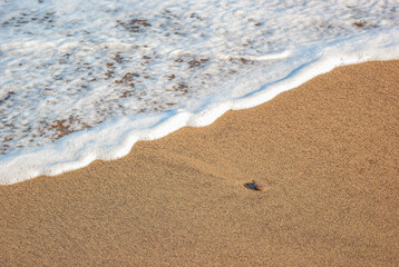 Fototapeta na wymiar White sea foam, sandy shore, pebbles on a sandy beach. Calm inspiring sea view.