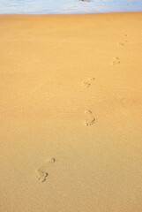 Fototapeta na wymiar Clear traces of bare human feet on the sand. Human footprints emerging from the sea.