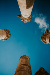 Kolumny © Katarzyna