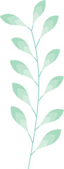 Green Leaf for Decoration