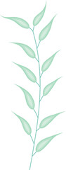 Green Leaf for Decoration