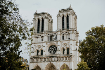 Notre Dame - obrazy, fototapety, plakaty