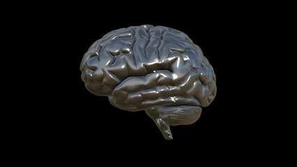 3D render illustration of the human brain. metal material