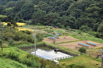 Fototapeta na wymiar 山の中の田んぼと貯水池