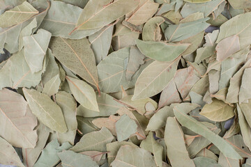 Green dry bay leaves on concrete background
