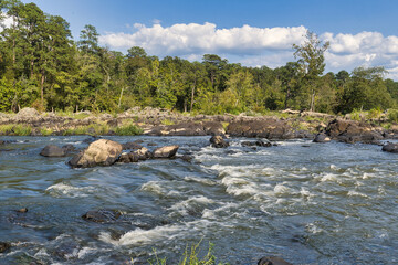 A river landscape of the Haw River, NC in a cinematic color tone.