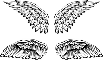 Bird wings vector illustration tattoo style. Hand drawn design element.
