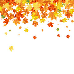Autumn Maple Frame