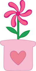Flower in Pot for Decoration
