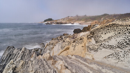 Tafoni Rock and cavernous weathering at coastline  Bean Hollow, California