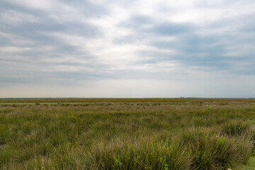 Landscape covered with green plants with blue sky. wild nature landscape in cloudy sky.  Kizilirmak...
