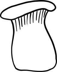 doodle freehand sketch drawing of king trumpet mushroom. 
