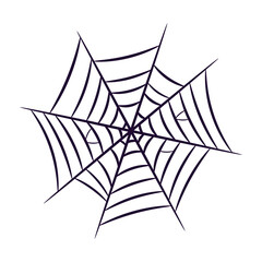 Spider web illustration for your design on white background