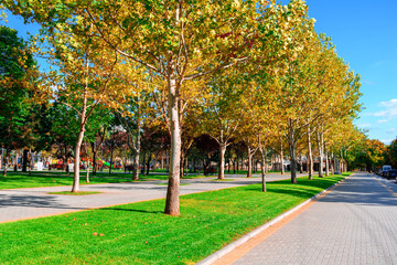 bright sunny day in autumn city park, green lawn, and yellow leaves, street