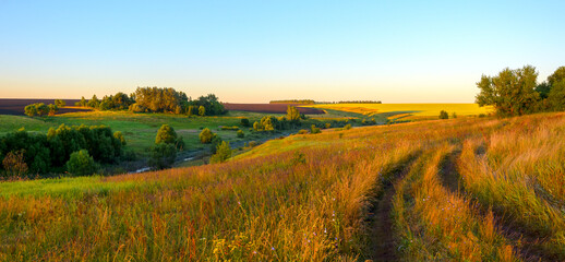 Summer morning landscape with dirt rural road and farm fields