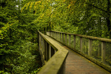 Fototapeta na wymiar Weg Pfad Holzweg durch einen Laubwald im Herbst