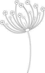 Vector illustration of blossom flower sketch design