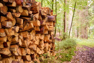 Ein Holzstapel Brennholz im Wald. 
