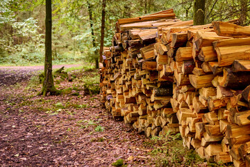 Ein Holzstapel Brennholz im Wald. 