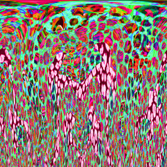 Fototapeta premium pattern