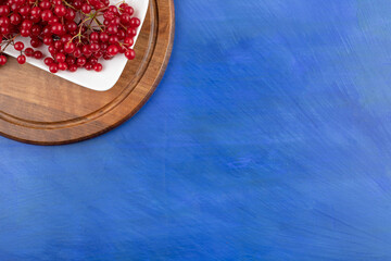 A white plate full of red currant on blue background