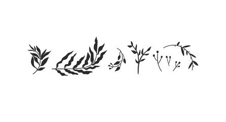 Obraz premium Hand drawn vector abstract stock flat graphic sketch drawing illustrations collection set with logo elements of natural,black decorative leaves silhouettes art in simple style for branding,isolated.
