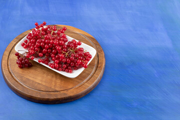 A white plate full of red currant on blue background
