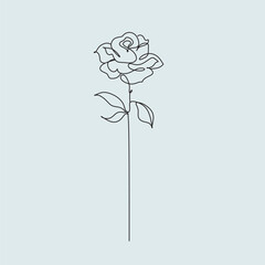 Rose One Line Drawing. Continuous Line of Simple Flower Illustration. Abstract Contemporary Botanical Design Template for Minimalist Covers, t-Shirt Print, Postcard . Rose vector line art illustration