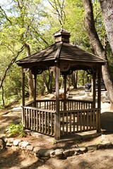 Wood Pergola In Park Setting