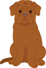 Simple and adorable French Mastiff illustration sitting in front view flat colored